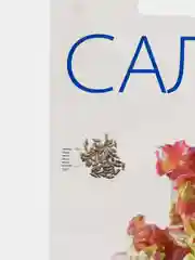 Салат "Рубин" листовой, семена