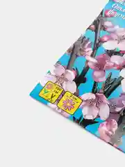Миндаль Сладкий сон (семена,цветы)