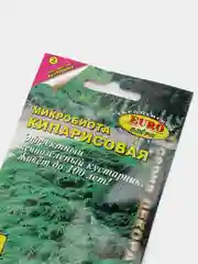 Семена, микробиота "Кипарисовая"