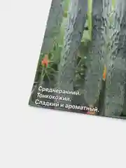 Семена Огурец F1 "Китайский холодоустойчивый"