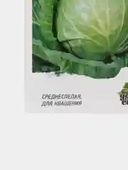 Семена Капуста "СБ-3"