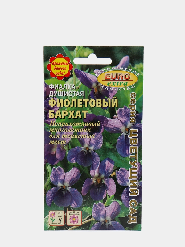Фиалка Фиолетовый бархат (семена,цветы)