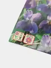 Фиалка Фиолетовый бархат (семена,цветы)