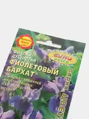Фиалка Фиолетовый бархат (семена,цветы)