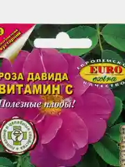 Роза "Витамин С", семена, цветы
