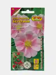 Семена "Роза Берегиня"