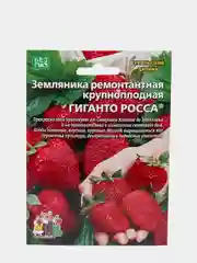 Семена земляники "Гиганто Росса"