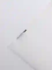 Прозрачный мешочек со шнурком с принтом "Кот"