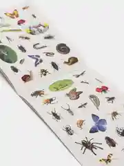 Наклейки, 100 штук