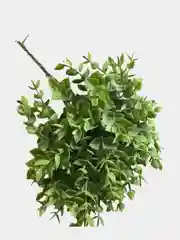Лайм цветы искусственные
