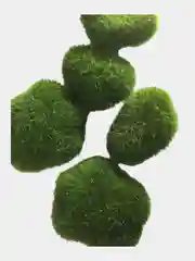 Лесной зеленый цветы искусственные