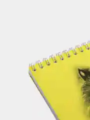 Желтый скечтбук Drawing Bear, 20 листов, 250 гр/м