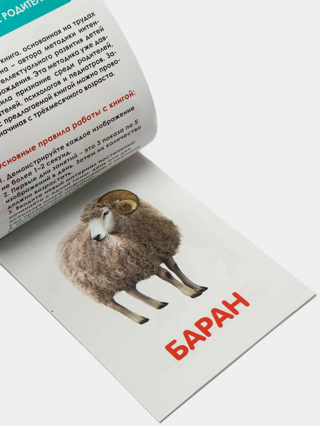 Белый развивающие карточки по методике Г. Домана в одном месте (мега)