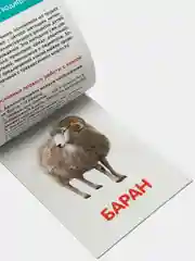 Белый развивающие карточки по методике Г. Домана в одном месте (мега)