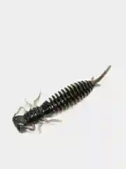 Синий личинка стрекозы Larva