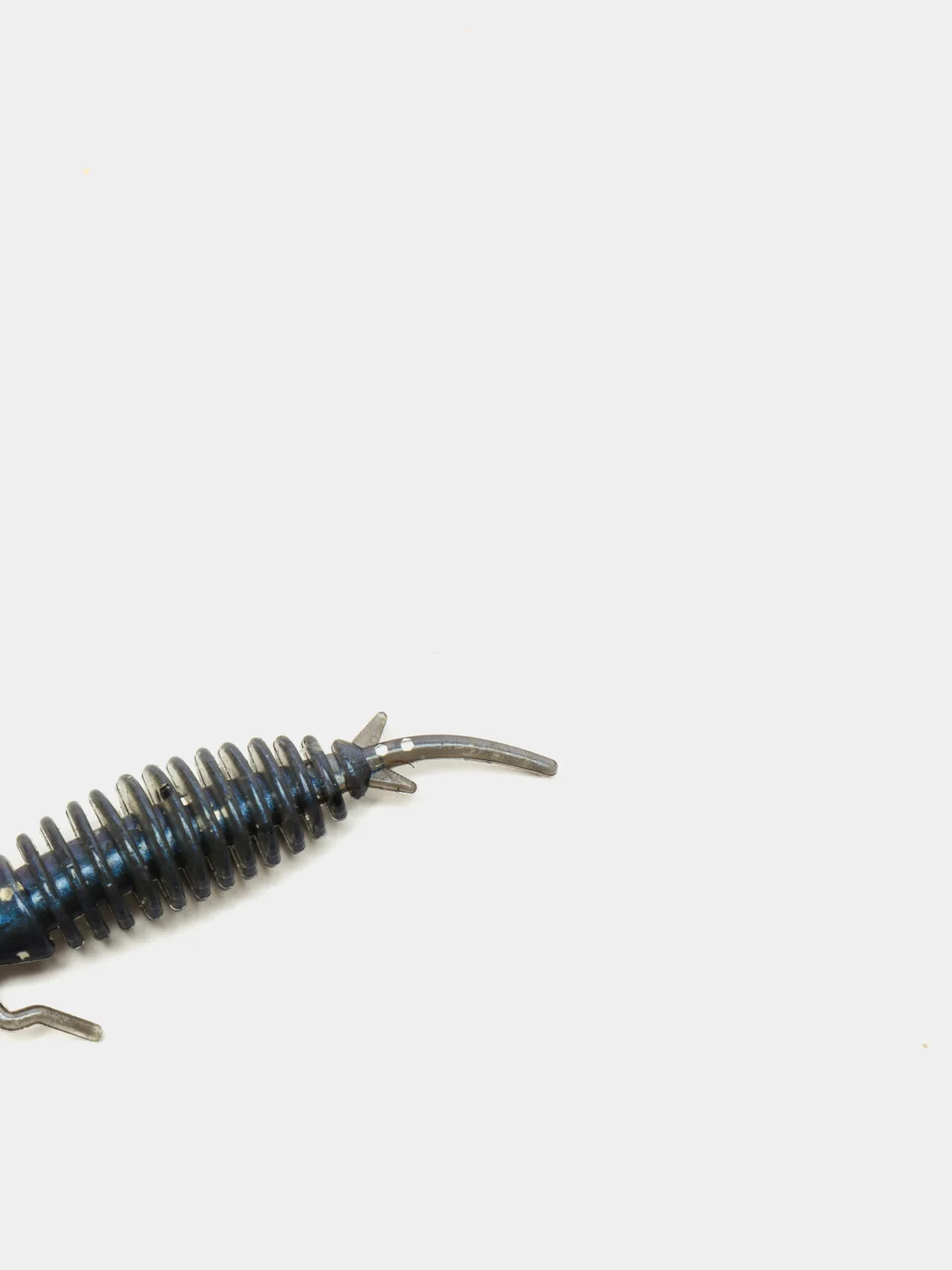 Синий личинка стрекозы Larva