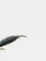 Синий личинка стрекозы Larva