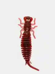 Красный личинка стрекозы Larva