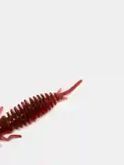Красный личинка стрекозы Larva