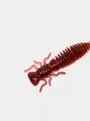 Красный личинка стрекозы Larva