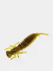 Зеленый личинка стрекозы Larva