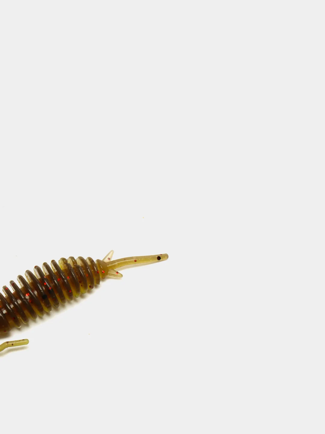 Зеленый личинка стрекозы Larva