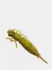 Зеленый личинка стрекозы Larva