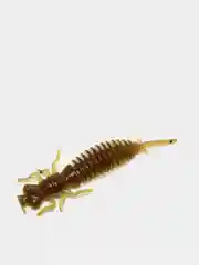 Зеленый личинка стрекозы Larva