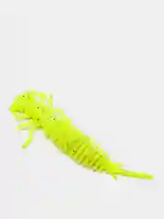 Лимонный личинка стрекозы Larva