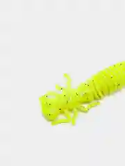 Лимонный личинка стрекозы Larva