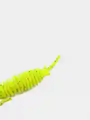 Лимонный личинка стрекозы Larva