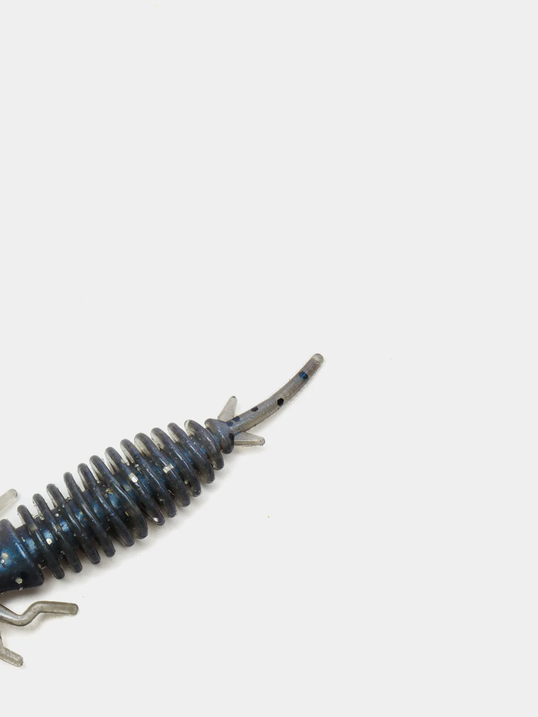 Синий личинка стрекозы Larva
