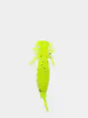 Лимонный личинка стрекозы Larva