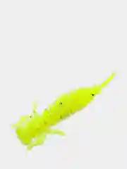 Лимонный личинка стрекозы Larva