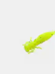 Лимонный личинка стрекозы Larva