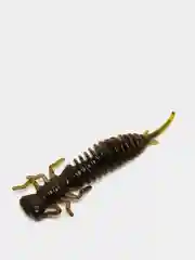 Зеленый личинка стрекозы Larva