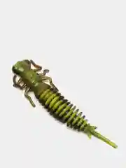 Зеленый личинка стрекозы Larva