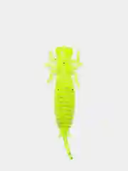 Лимонный личинка стрекозы Larva