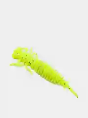 Лимонный личинка стрекозы Larva