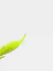 Лимонный личинка стрекозы Larva