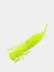 Лимонный личинка стрекозы Larva