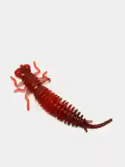Красный личинка стрекозы Larva