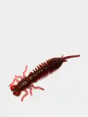 Красный личинка стрекозы Larva