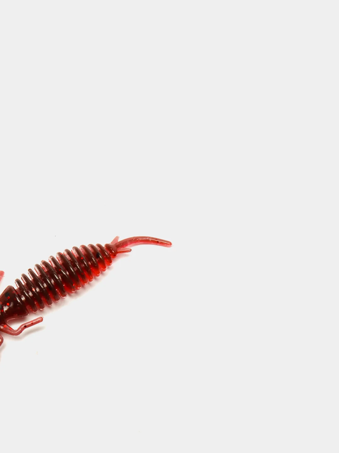 Красный личинка стрекозы Larva