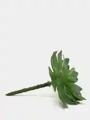 Бирюзовый искусственные растения Суккулент эхеверия