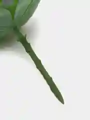 Бирюзовый искусственные растения Суккулент эхеверия