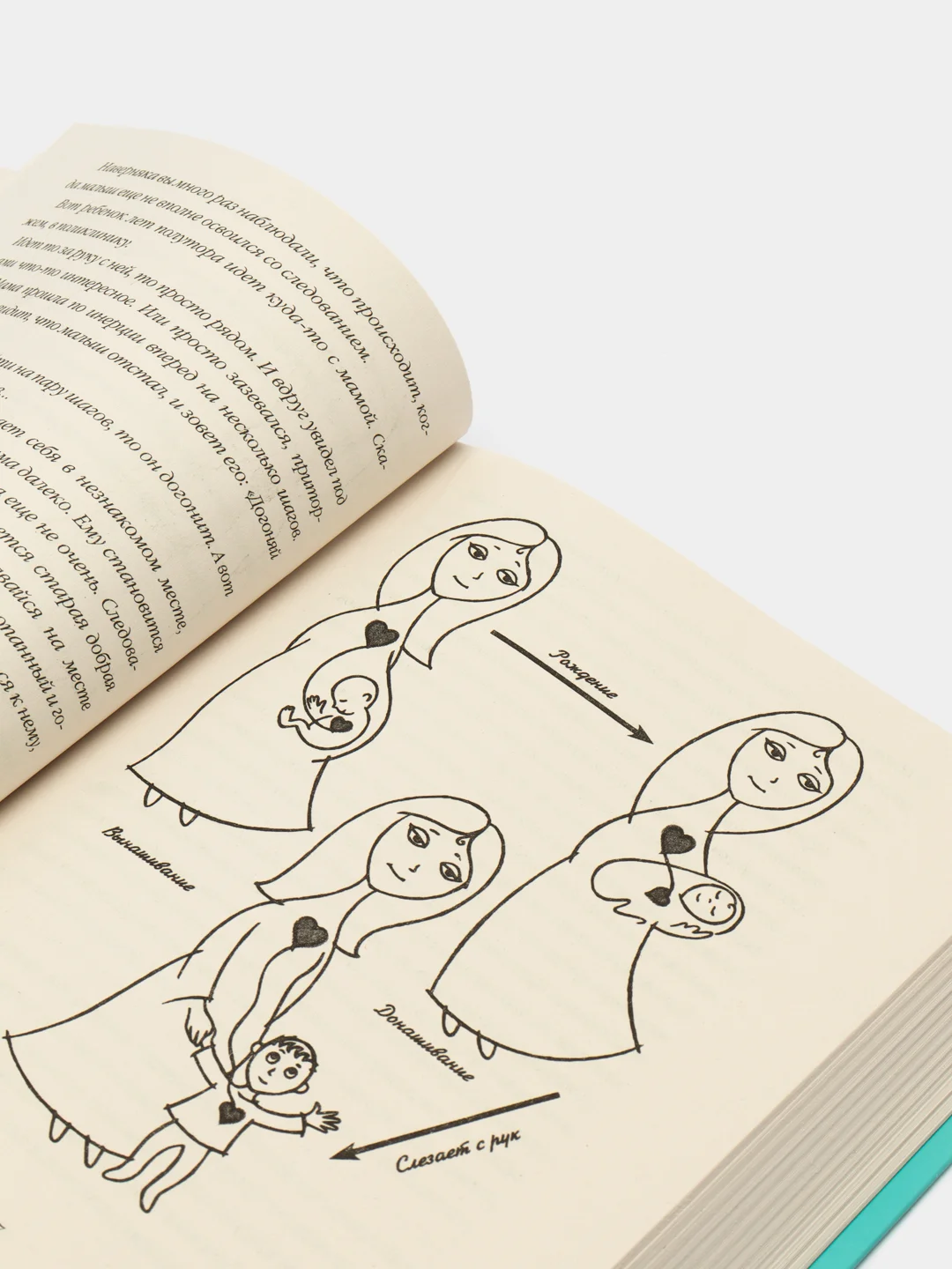 Большая книга про вас и вашего ребенка, Людмила Петрановская