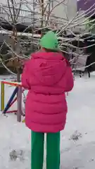 Голубой куртка-зефирка на холлофайбере, зимняя