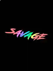 Ледяной savage (ДИКИЙ) - наклейка на авто - белый и переливающийся стикер