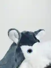 Серый кигуруми